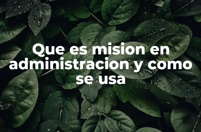 Que es Mision en Administracion y como Se Usa 2 El papel de la misión en la toma de decisiones