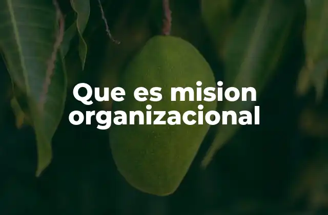 Que es Mision Organizacional