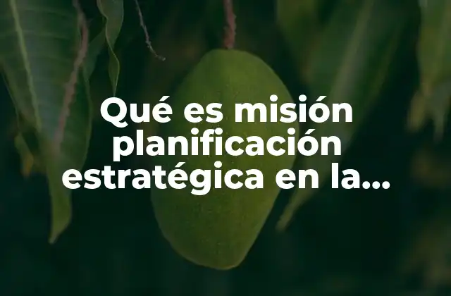 Qué es Misión Planificación Estratégica en la Educación Primaria