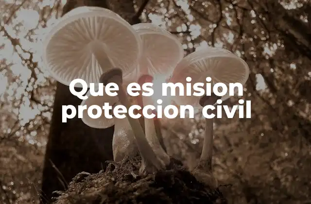 Que es Mision Proteccion Civil