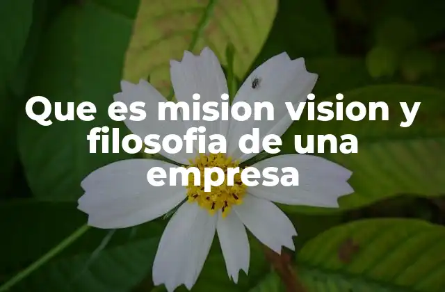 Que es Mision Vision y Filosofia de una Empresa