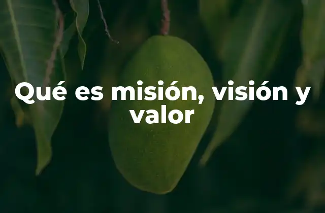 La importancia de tener una identidad clara en una empresa