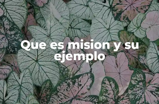 Que es Mision y Su Ejemplo