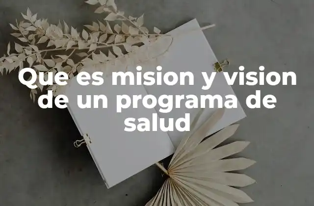 Que es Mision y Vision de un Programa de Salud