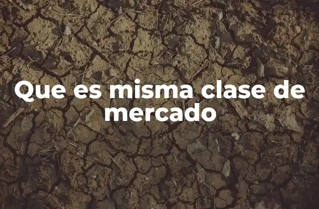 Que es Misma Clase de Mercado
