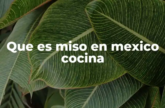Que es Miso en Mexico Cocina 2 El uso del miso en la fusión culinaria mexicana