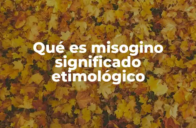 Qué es Misogino Significado Etimológico