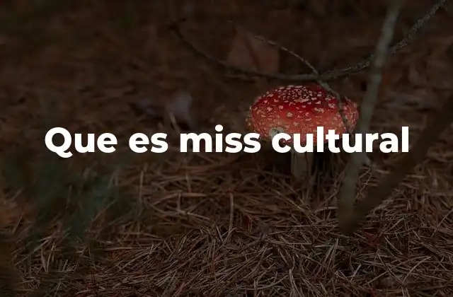 Que es Miss Cultural