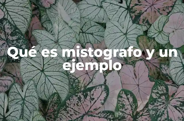 Qué es Mistografo y un Ejemplo