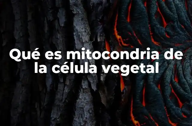 Qué es Mitocondria de la Célula Vegetal