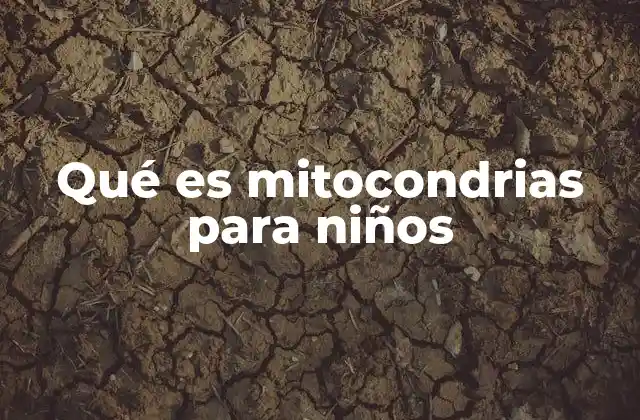 Qué es Mitocondrias para Niños