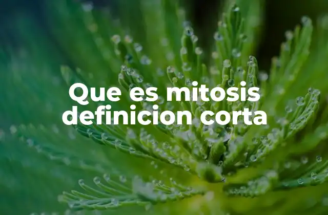 Que es Mitosis Definicion Corta