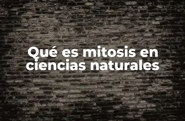Qué es Mitosis en Ciencias Naturales