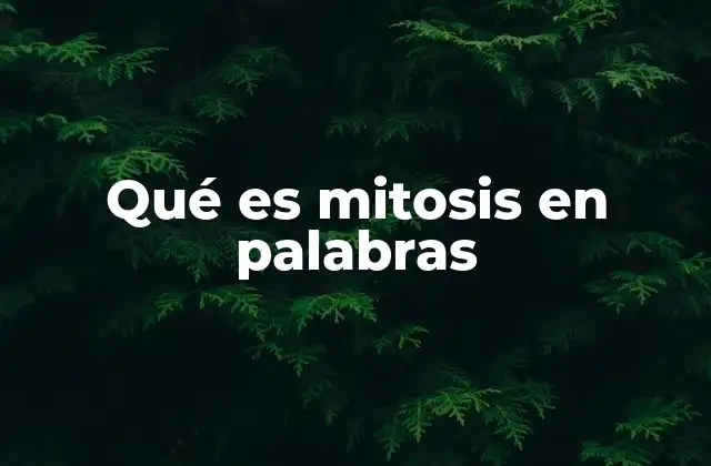 Qué es Mitosis en Palabras