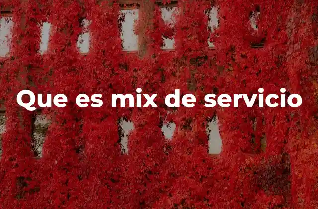 Que es Mix de Servicio