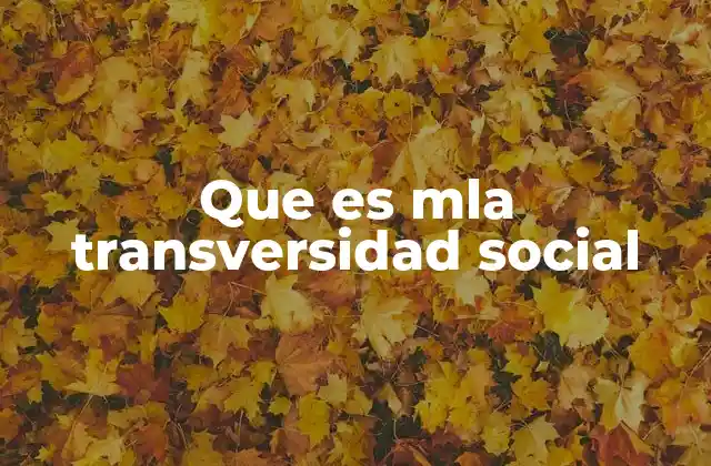 Que es Mla Transversidad Social