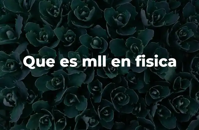 Aplicaciones de M.L.L. en física teórica y experimental