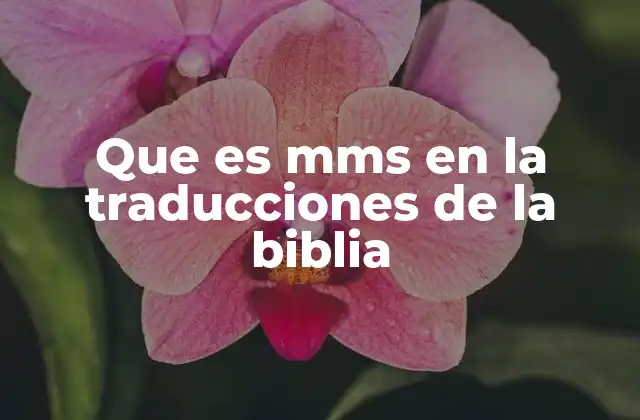 Que es Mms en la Traducciones de la Biblia