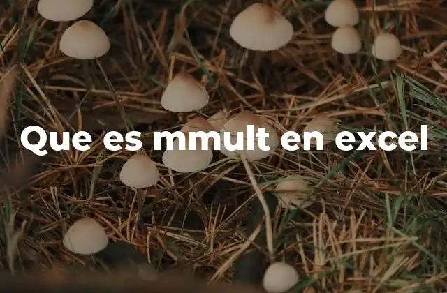 Que es Mmult en Excel