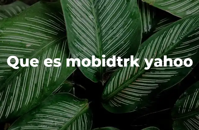 Que es Mobidtrk Yahoo