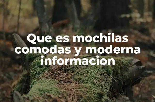 Que es Mochilas Comodas y Moderna Informacion
