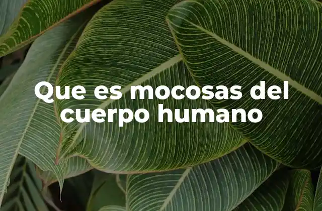 Que es Mocosas Del Cuerpo Humano
