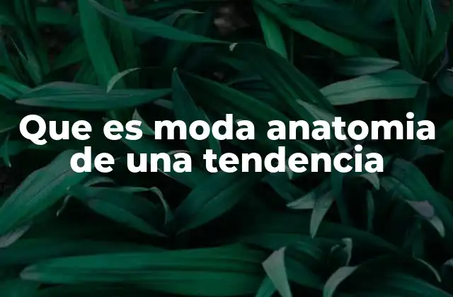 Que es Moda Anatomia de una Tendencia