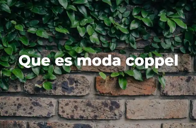 La importancia de la moda Coppel en el mercado nacional