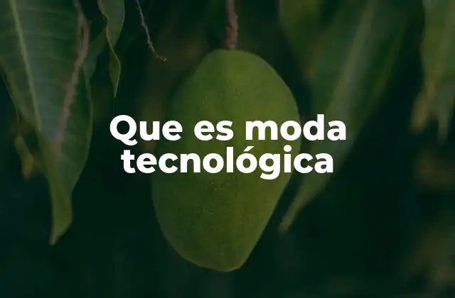 Que es Moda Tecnológica