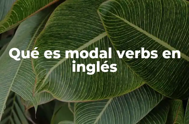 Qué es Modal Verbs en Inglés