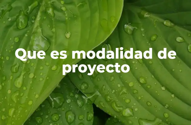Que es Modalidad de Proyecto 2 El rol de las modalidades en la gestión de proyectos