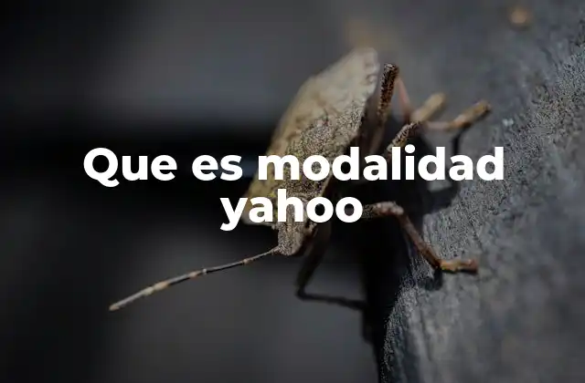 Que es Modalidad Yahoo 2 Cómo Yahoo se diferenciaba en la búsqueda web
