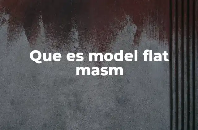 Que es Model Flat Masm