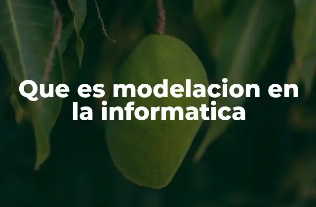 Que es Modelacion en la Informatica