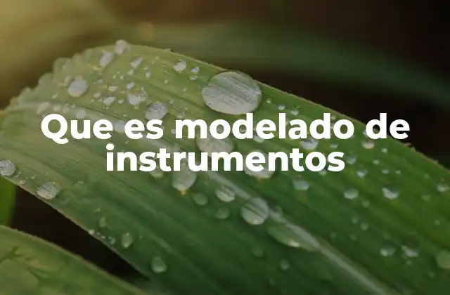 Que es Modelado de Instrumentos