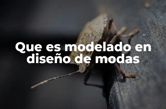 Que es Modelado en Diseño de Modas