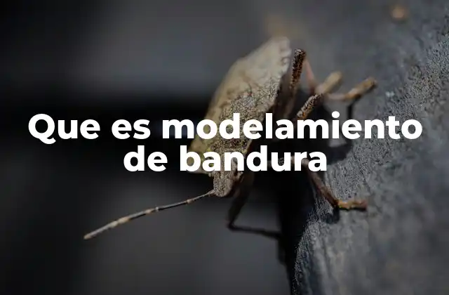 Que es Modelamiento de Bandura
