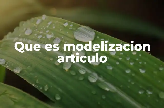 Que es Modelizacion Articulo
