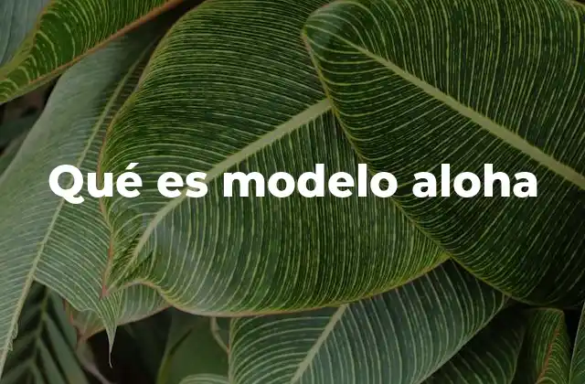Qué es Modelo Aloha