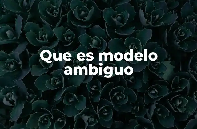 Que es Modelo Ambiguo