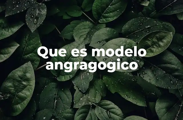 Que es Modelo Angragogico