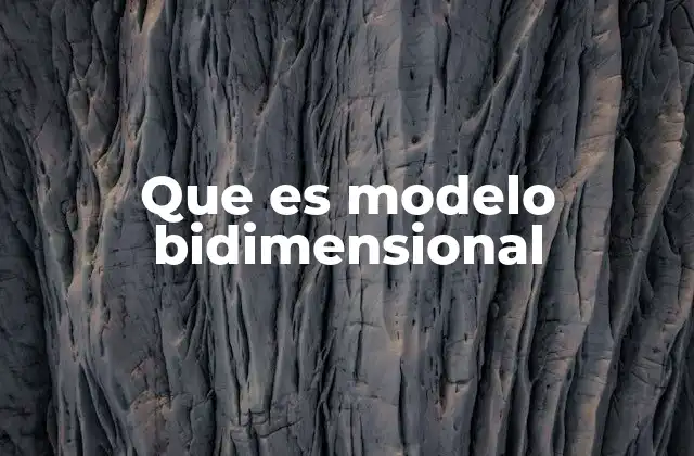Que es Modelo Bidimensional 2 Modelos planos y su relevancia en la ciencia moderna