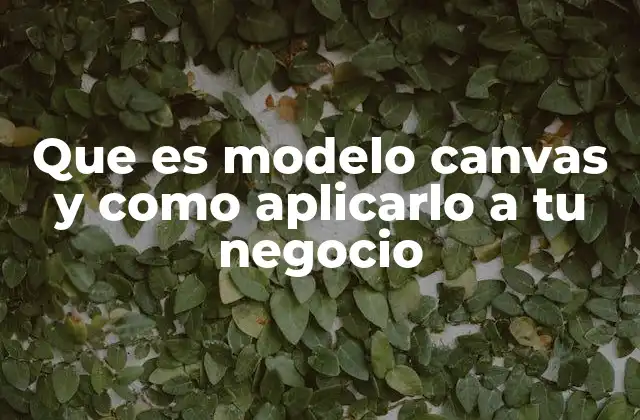 Que es Modelo Canvas y como Aplicarlo a Tu Negocio