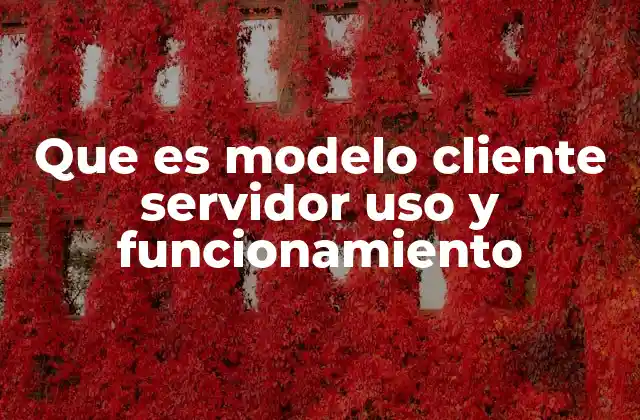 Que es Modelo Cliente Servidor Uso y Funcionamiento
