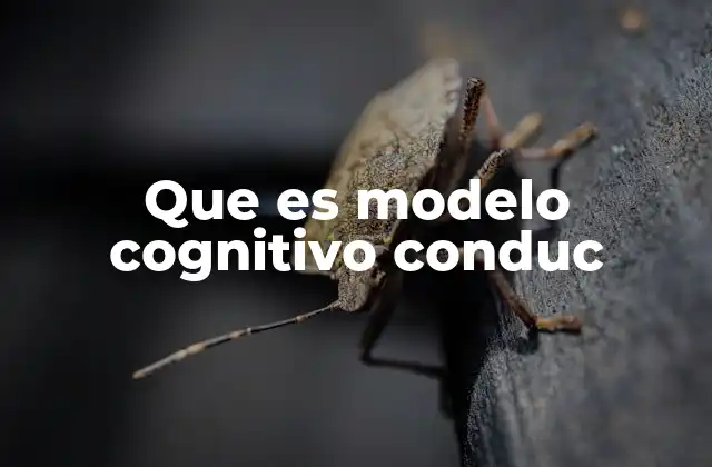 Que es Modelo Cognitivo Conduc