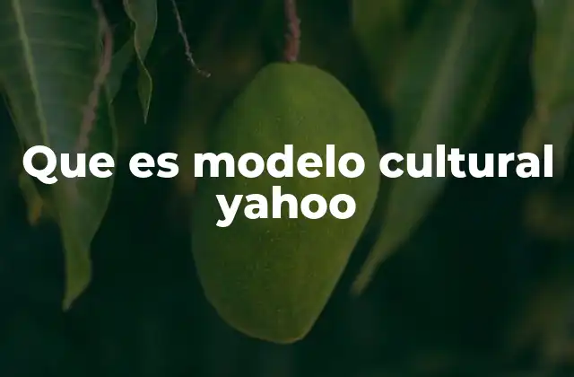 Que es Modelo Cultural Yahoo
