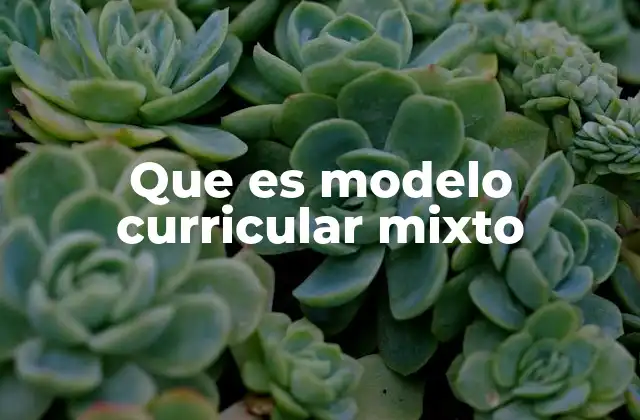 Que es Modelo Curricular Mixto