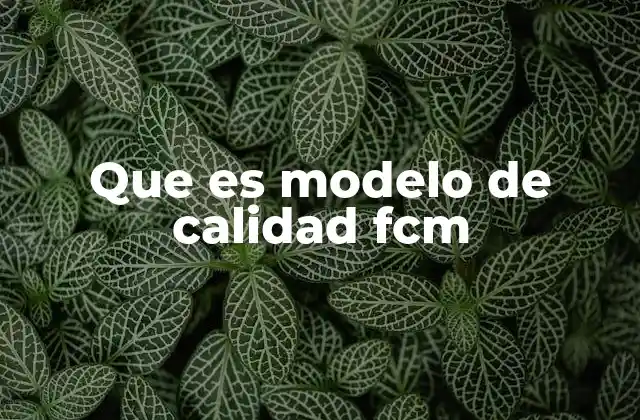 Que es Modelo de Calidad Fcm