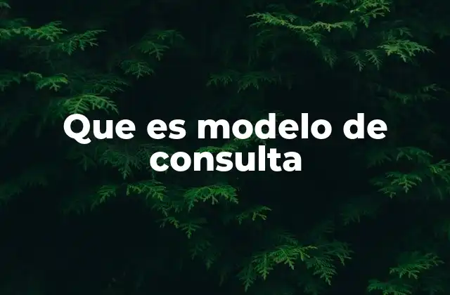 Que es Modelo de Consulta