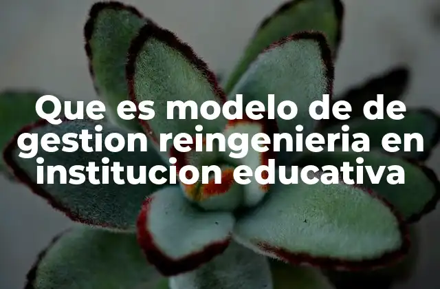 Que es Modelo de de Gestion Reingenieria en Institucion Educativa